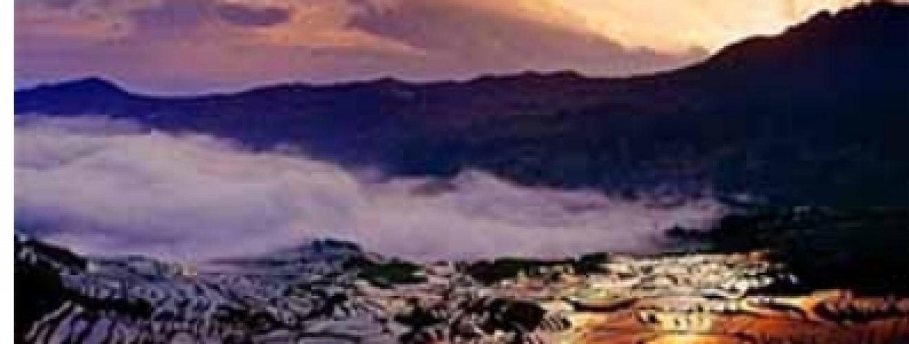 山西賞花旅遊,西安賞油菜花旅遊,西安兵馬俑旅遊