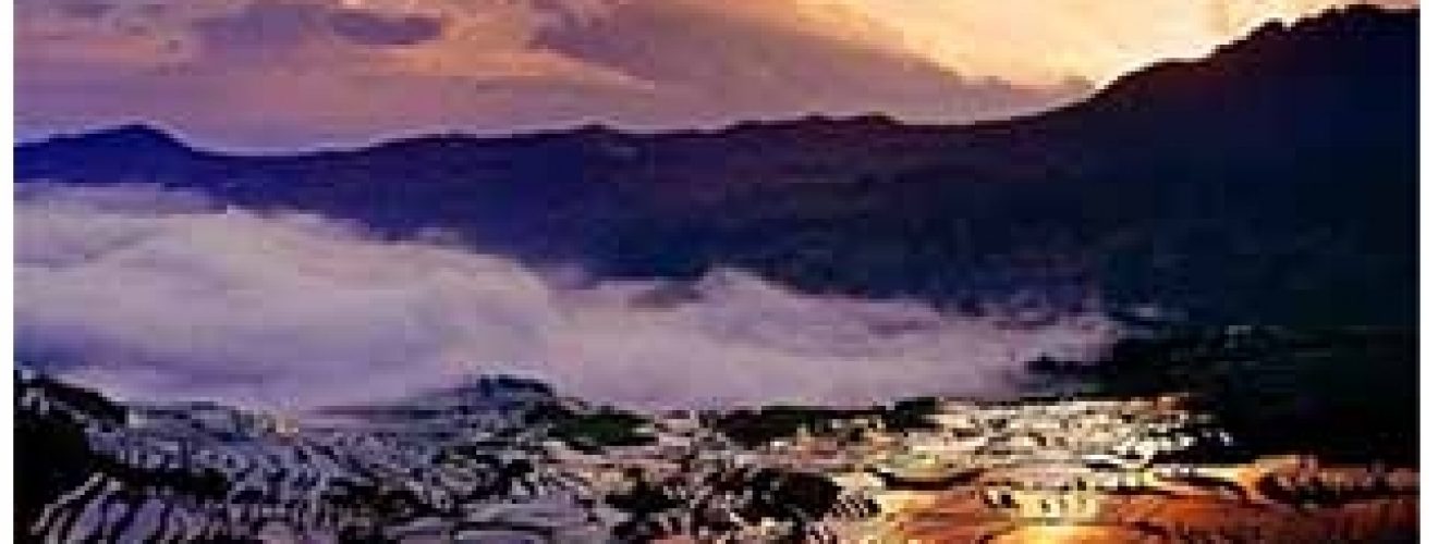 西安旅遊,西安賞油菜花旅遊,西安兵馬俑旅遊